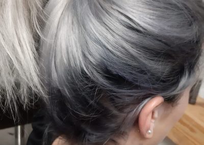 Blau und Silber Haarfärbung Hairartist by Jules